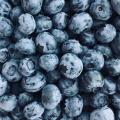 Jersey Blueberries